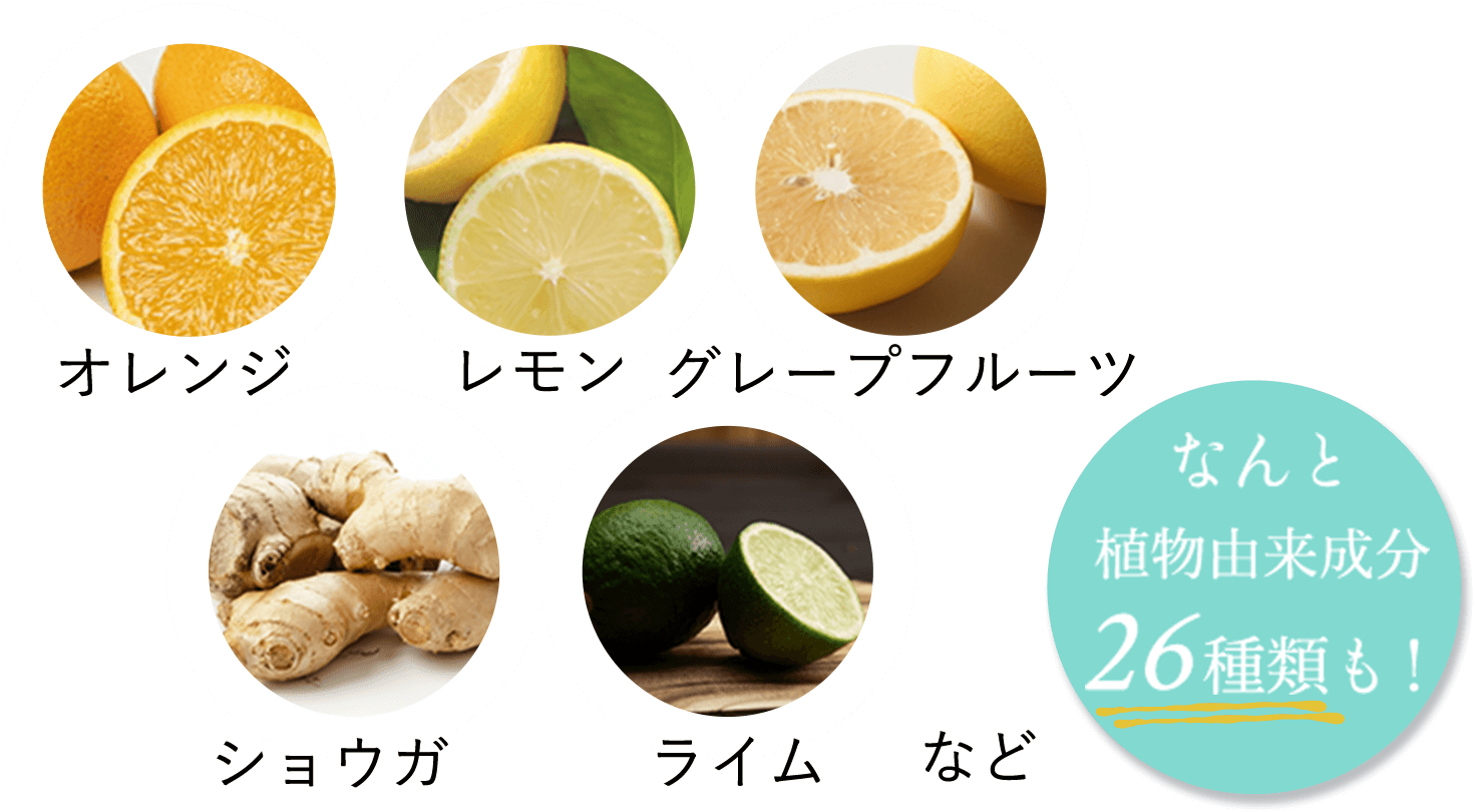 オレンジ レモン グレープフルーツ ショウガ ライム など なんと植物由来成分26種類も!